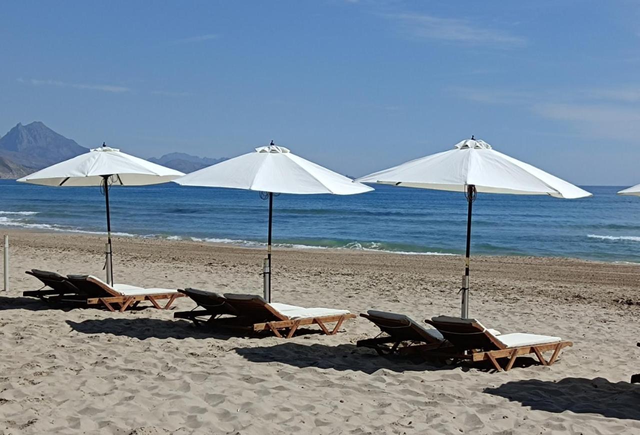 Apartamento Al Andalus Playa Muchavista אל קאמפיו מראה חיצוני תמונה